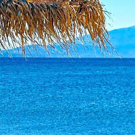 Sofia Sea View